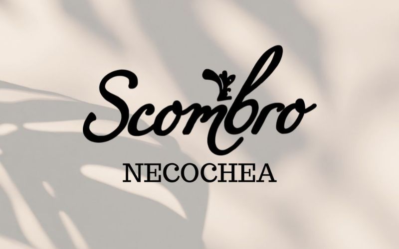 Scombro Necochea