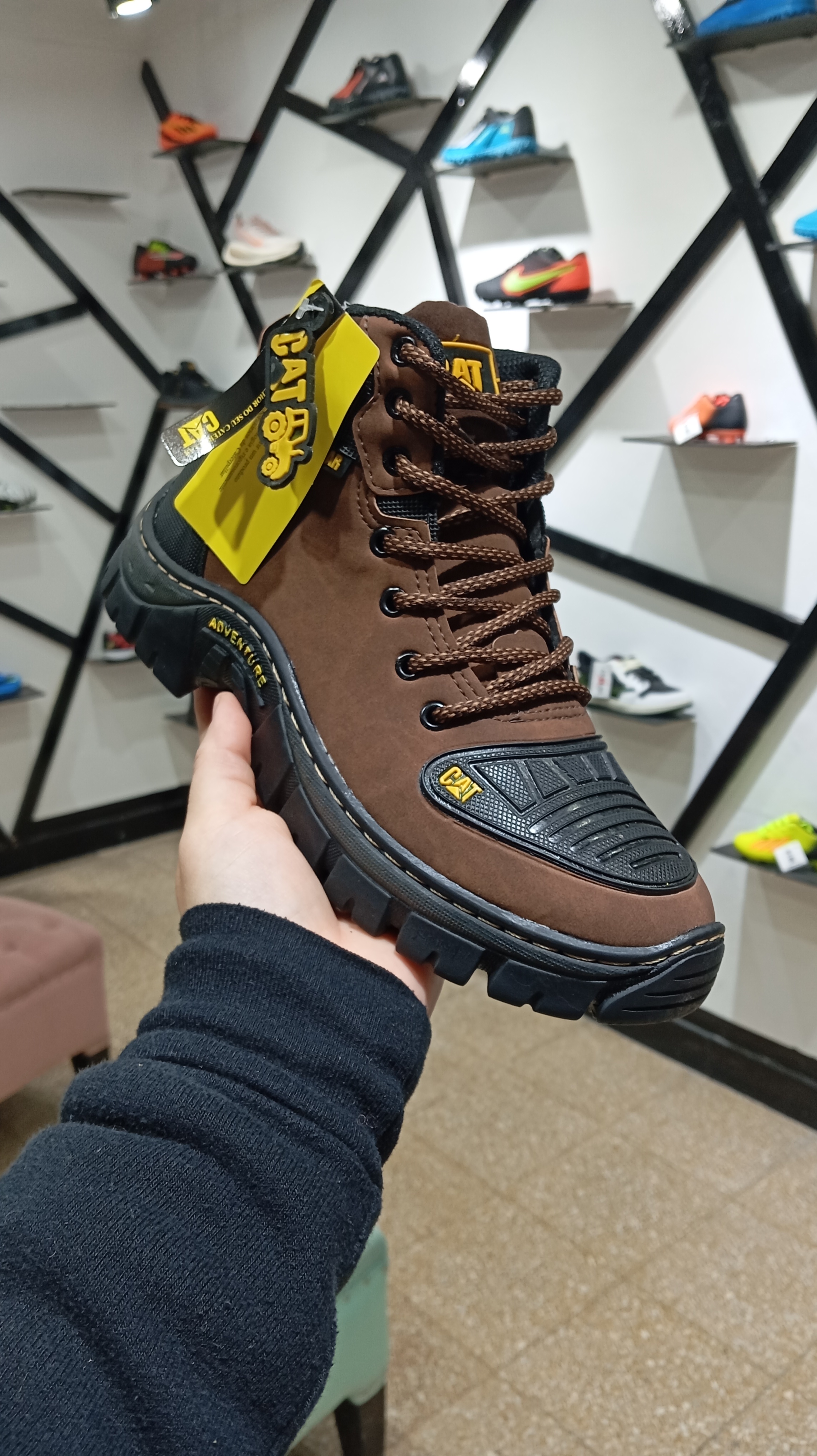 Borcegos