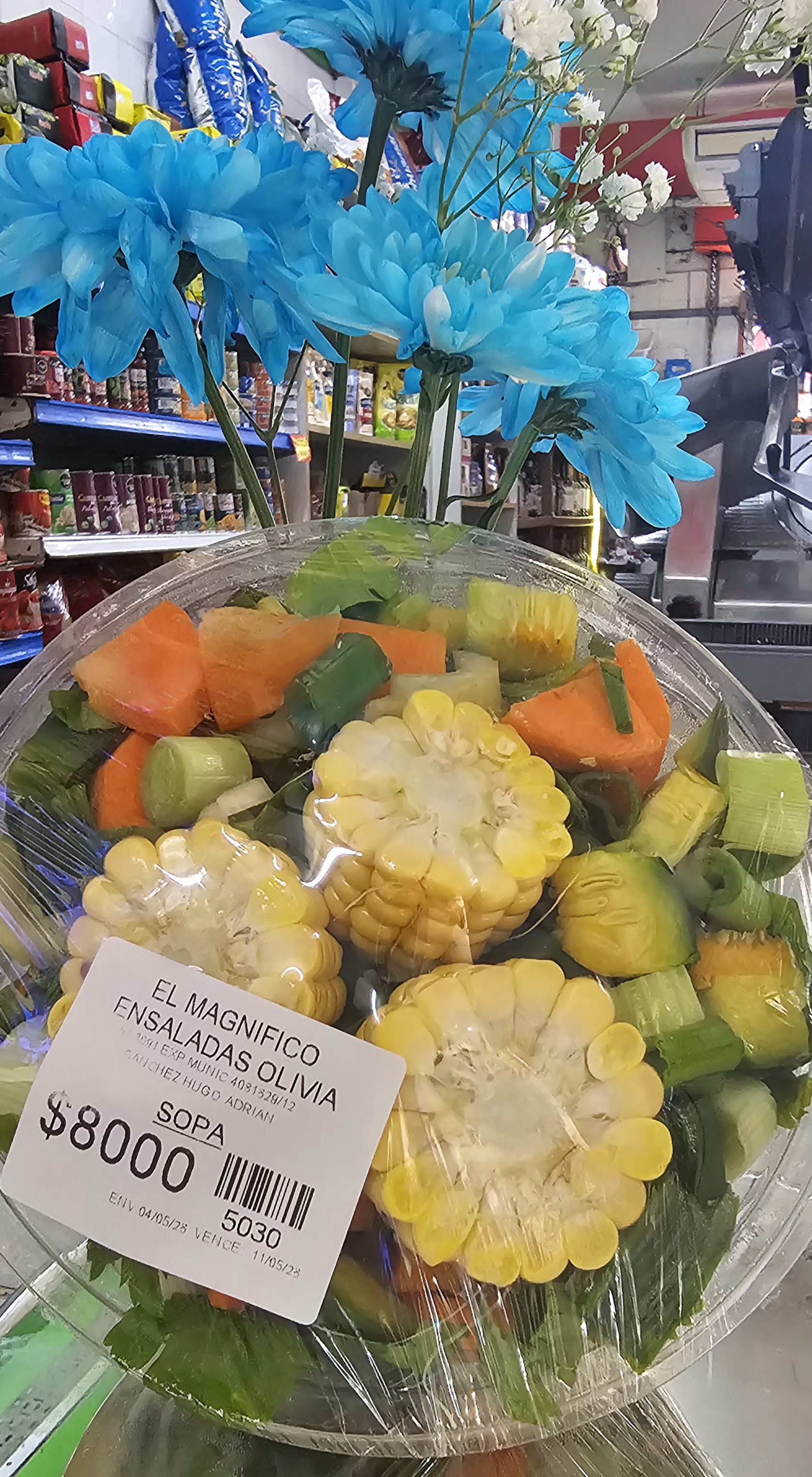 Sopa de verduritas